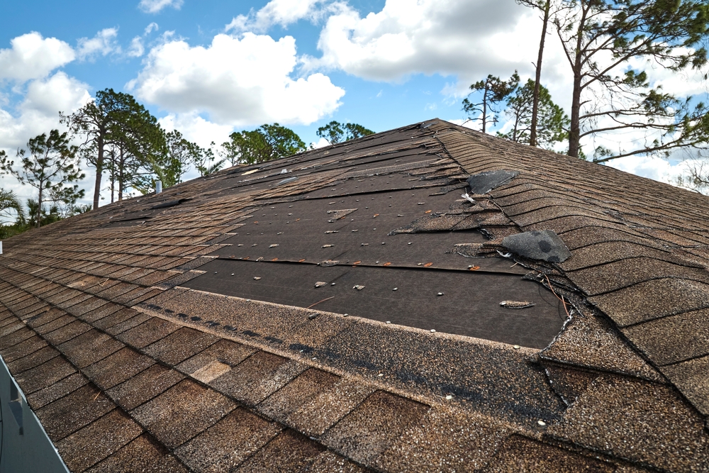 damaged shingles, roof inspection